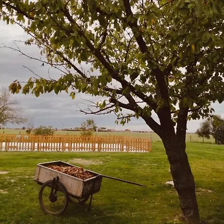 فندق Il Bianconiglio R&b