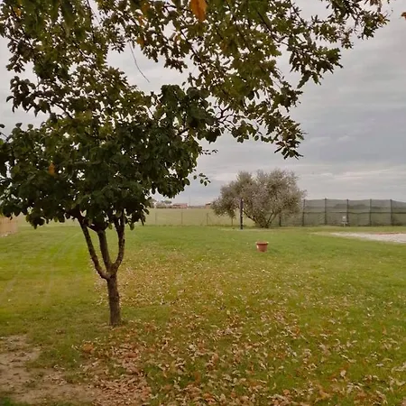 Il Bianconiglio R&b *