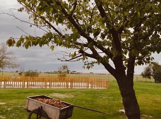 ホテル Il Bianconiglio R&b