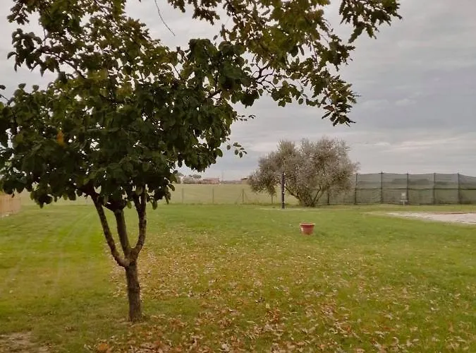 Il Bianconiglio R&b *